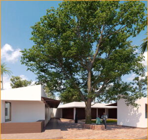 Understanding Your Ebike Controller